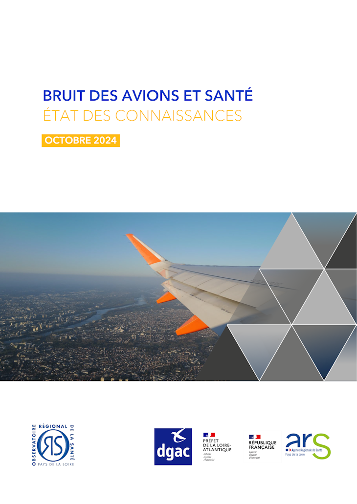 Bruit des avions et santé. Synthèse de la littérature